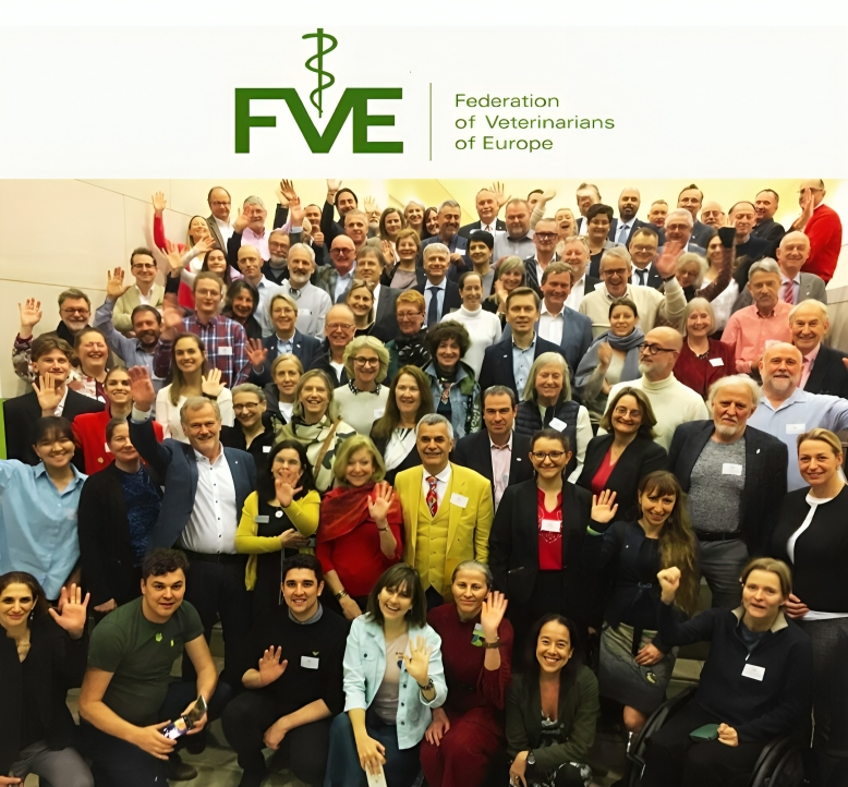 VPHA in Europe - VPHA